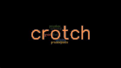 better word for crotch.